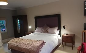 1 Bed Studio